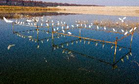 China Winter Natural Environment