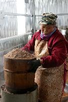 Traditional Process Camellia Oil