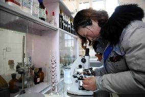 Intangible Cultural Heritage Vinegar Brewing