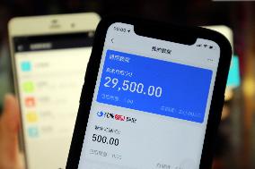 Ant Credit Pay