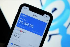 Ant Credit Pay