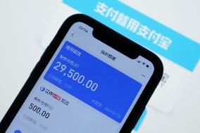 Ant Credit Pay