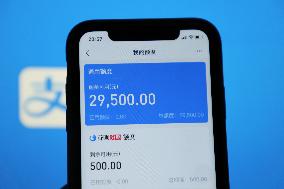 Ant Credit Pay
