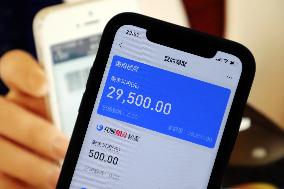Ant Credit Pay