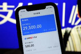Ant Credit Pay