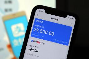Ant Credit Pay