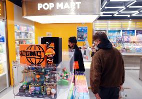 Bubble Mart Share Price Fell