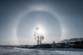 Sundog