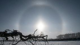 Sundog