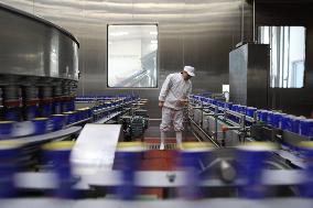 Almond Syrup Production