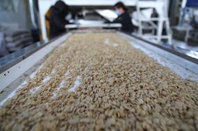 Almond Syrup Production