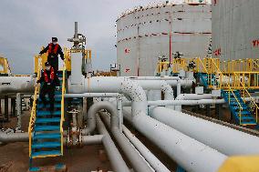 Guangdong-Hong Kong-Macao Greater Bay Area Crude Oil Terminal