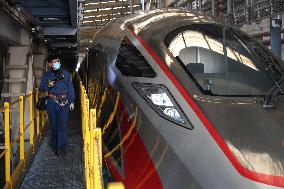 Spring Festival Travel Rush Drop