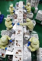 China's GDP Exceeded 100 Trillion Yuan
