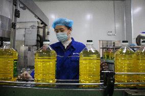 Corn Oil Export