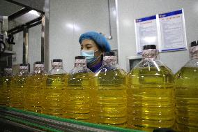 Corn Oil Export