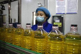 Corn Oil Export