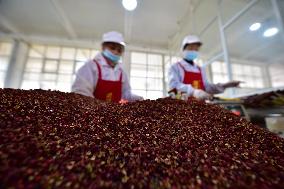 Pepper Products Production