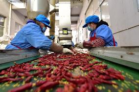 Pepper Products Production