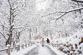 The First Snow In Jilin City