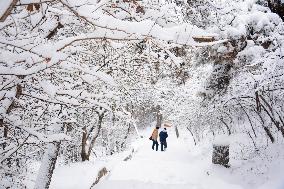 The First Snow In Jilin City