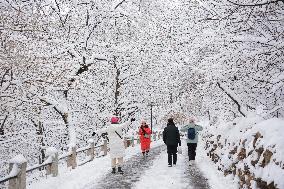 The First Snow In Jilin City