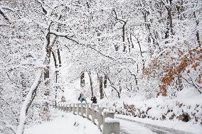 The First Snow In Jilin City