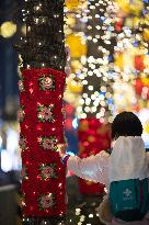 Chinese Spring Festival Decoration