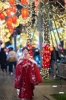 Chinese Spring Festival Decoration