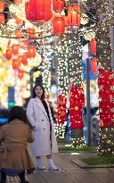 Chinese Spring Festival Decoration