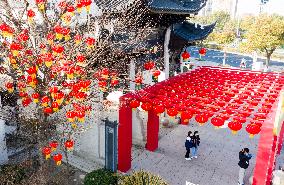 Chinese Spring Festival Decoration