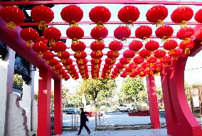 Chinese Spring Festival Decoration