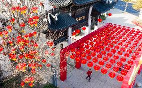 Chinese Spring Festival Decoration