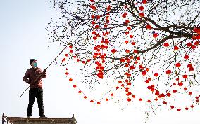 Chinese Spring Festival Decoration