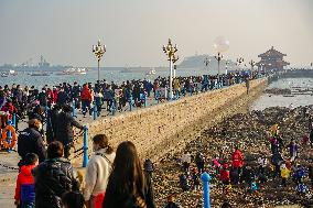 Tourists Watch Seagulls