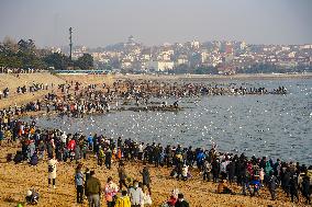 Tourists Watch Seagulls