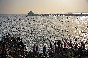 Tourists Watch Seagulls