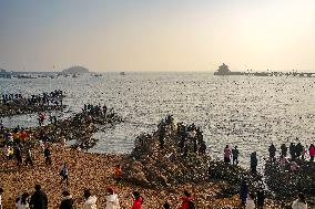 Tourists Watch Seagulls