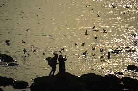 Tourists Watch Seagulls