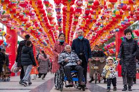 Chinese Spring Festival Decoration