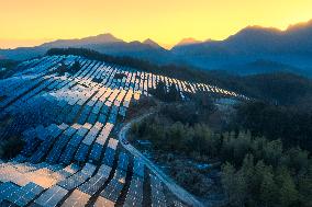 Aerial Photovoltaic Panels