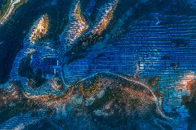 Aerial Photovoltaic Panels