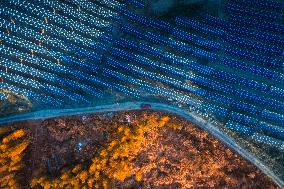 Aerial Photovoltaic Panels