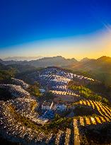 Aerial Photovoltaic Panels