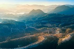 Aerial Photovoltaic Panels