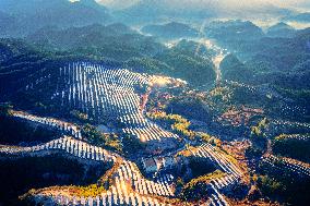 Aerial Photovoltaic Panels