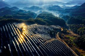 Aerial Photovoltaic Panels