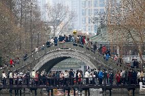 Chinese Celebrate Lunar New Year