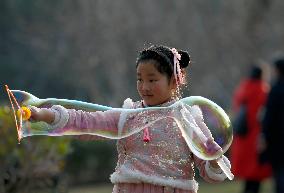 Chinese Celebrate Lunar New Year