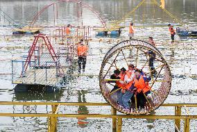 Chinese Celebrate Lunar New Year